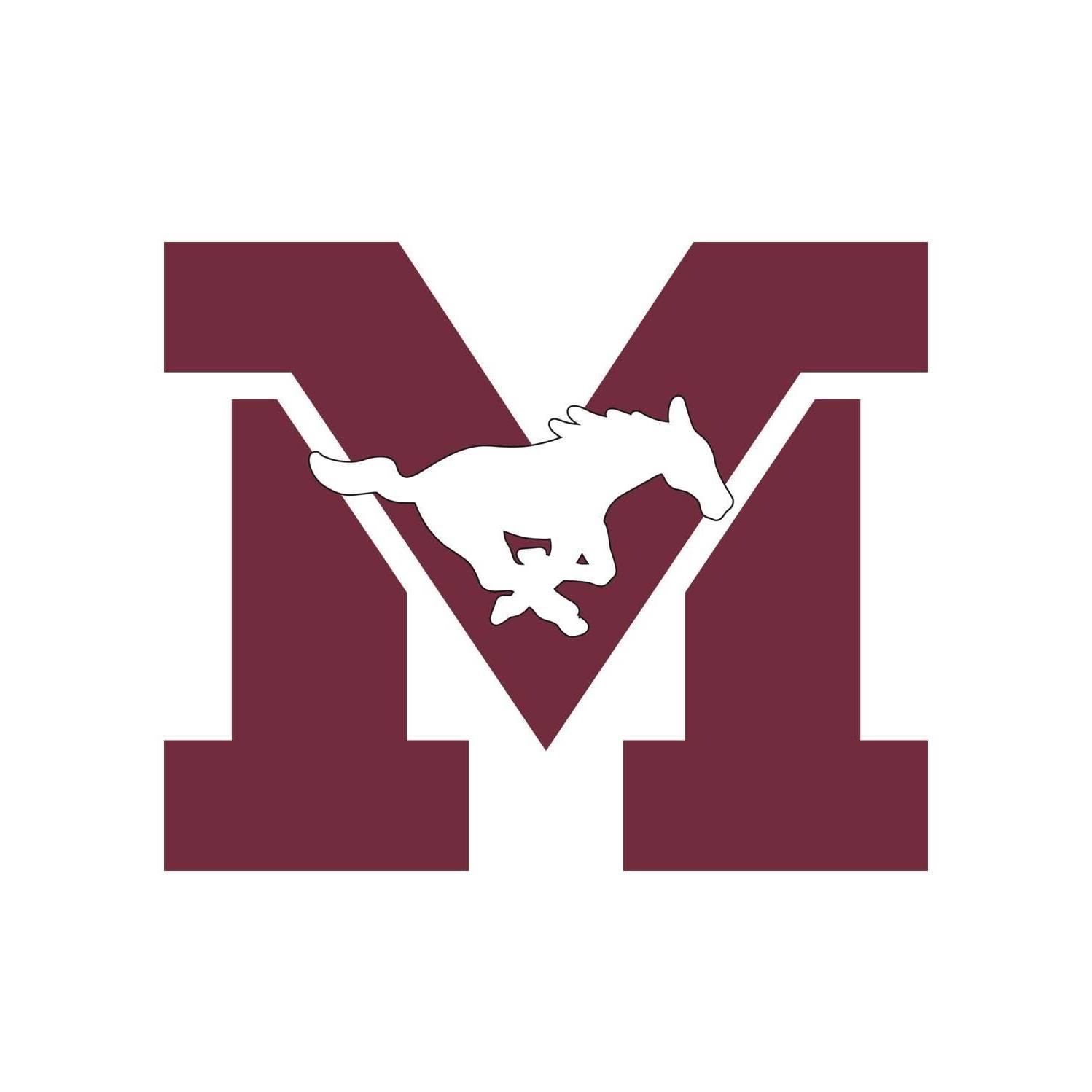 Mount Vernon Community School District Foundation Friends Fund